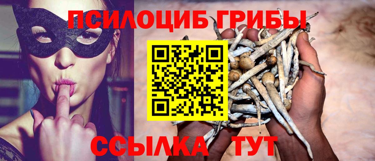 Галлюциногенные грибы мухоморы  Вход с VPN  Прохладный 